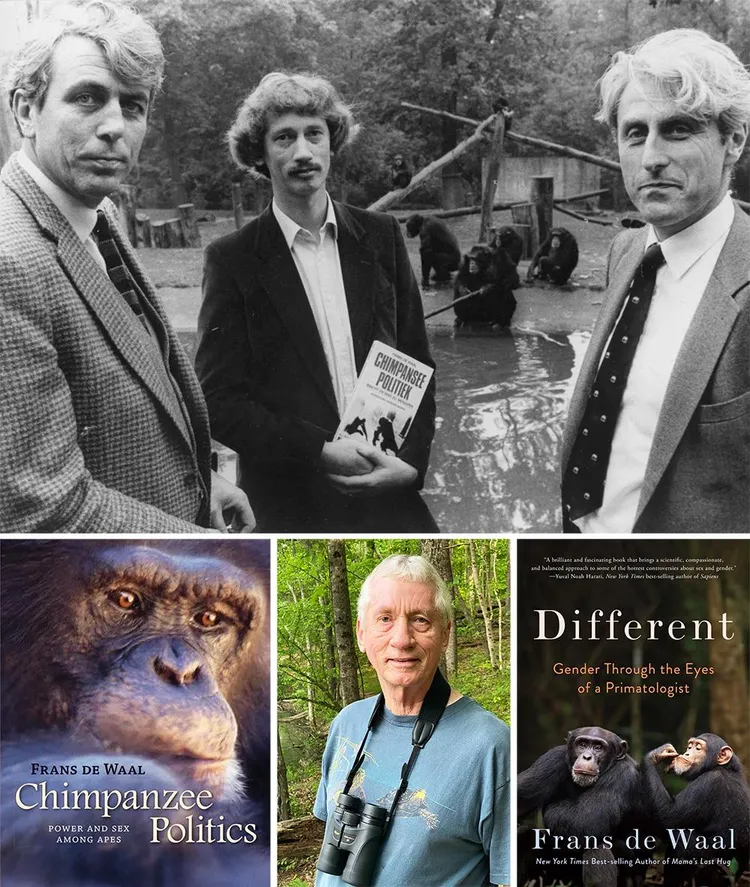 Frans de Waal with Anton van Hooff, left, director of the Arnhem zoo, and Jan van Hooff, his PhD adviser, at the launch of his first book, ‘Chimpanzee Politics', in 1982. In ‘Different', De Waal wrote about gay and other gender-non-conforming primates.